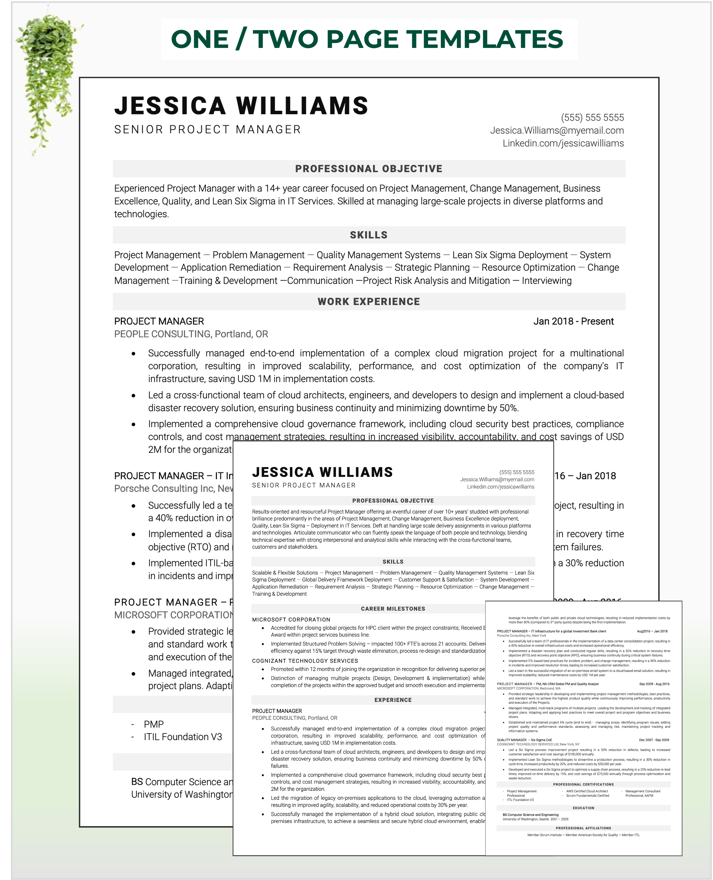 /listings/senior-project-manager-resume-example